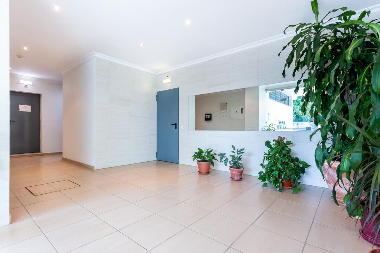 Sacha's Sweet Home, Lovely 2 Bedroom Apartment, Walking Distance To Town, And Marina